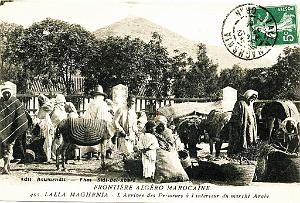 Marnia 073
